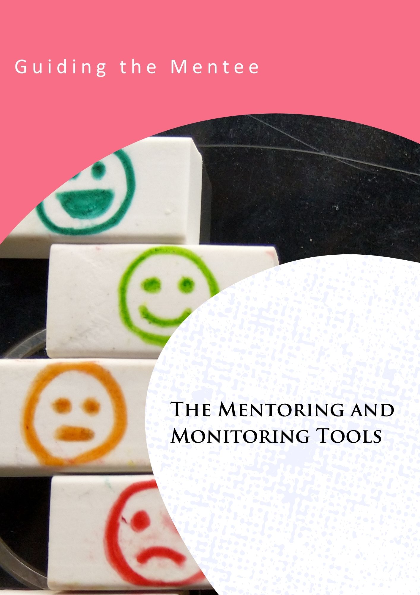 The Mentoring and Monitoring Tools
